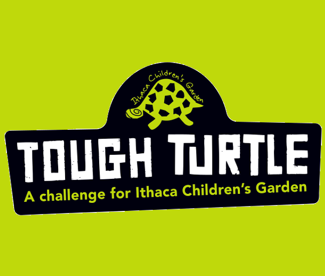 Tough Turtle